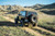 DV8 Offroad 07-18 Jeep Warngler JK Full-Width Rear Bumper - RBJK-13 Photo - out of package