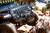 Photo - lifestyle view