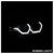 Photo - Unmounted