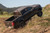 ICON 2019+ Ford Ranger 0-3.5in Stage 5 Suspension System w/Tubular Uca - K93205T Photo - lifestyle view