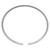 Wilwood Snap Ring Hat - Internal 8.80in Dia SUS 302 - 310-14890 Photo - Primary