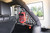 DV8 Offroad 07-18 Jeep Wrangler JK 4-Door Pocketed Rear Window Molle Panels - MPJK-02 Photo - out of package