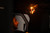 DV8 Offroad Elite Push Button Dome Light - White/Amber - BE1EDM-A Photo - out of package
