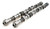 Brian Crower Dodge SRT-4 Camshafts - Stage 2 - BC0161 Photo - Primary