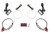 Diode Dynamics Halo Lights LED 50mm - Red (Pair) - DD2046 User 3