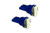 Diode Dynamics 194 LED Bulb SMD2 LED - Blue (Pair) - DD0033P Photo - Primary
