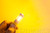 Diode Dynamics 3157 LED Bulb XP80 LED - Amber (Pair) - DD0058P User 2