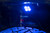 Diode Dynamics Stage Series Single Color LED Rock Light - Blue M8 (2-pack) - DD7460