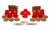 Energy Suspension 92-02 Dodge Viper Red Front Control Arm Bushing Set - 5.3125R Photo - Primary