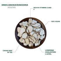 特级精选大片虎乳菌 6oz装 虎奶菌 止咳平喘 Premium Dried Lignosus rhinocerus 6oz