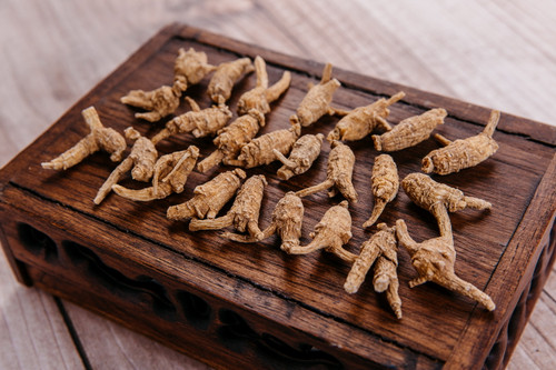 100% 美国威斯康辛州7-8 年半野花旗参1 磅装American Ginseng 7-8 yrs