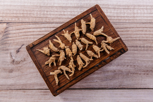 100% 美国威斯康辛州 10 年 半野 花旗参 American Ginseng 10 yrs Root 1lb 100% 美国威斯康辛州 10 年 半野 花旗参 American Ginseng 10 yrs Root 1lb