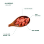 特级宁夏枸杞王 225g 健康养生补血补气 泡茶煲汤 Premium Selected Antioxidant Sun-Dried Goji Berries