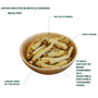 日本东洋参 祛湿 健脾 4oz Japanese Ginseng, Burdock Root, Vegetarian, Herbal Supplement, Dried Root