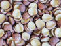  ​红皮无芯开边湘莲子 225g 煲汤熬粥佳品 Hunan Xiang  Core - Removed & Split Lotus Seeds for Soups