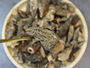 北美野生羊肚菌8oz 煲汤好物 纯天然 Premium Natural 100% Wild Dried Moral 8oz