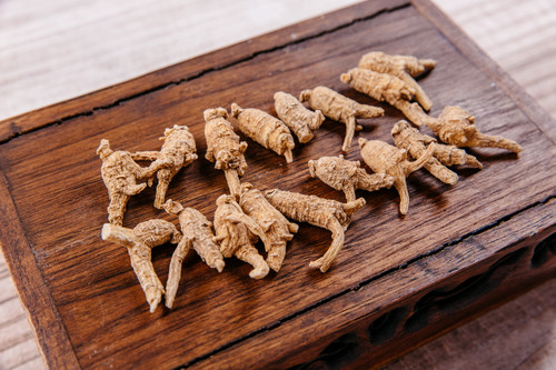 100% 美国威斯康辛州7-8 年半野花旗参1 磅装American Ginseng 7-8 yrs