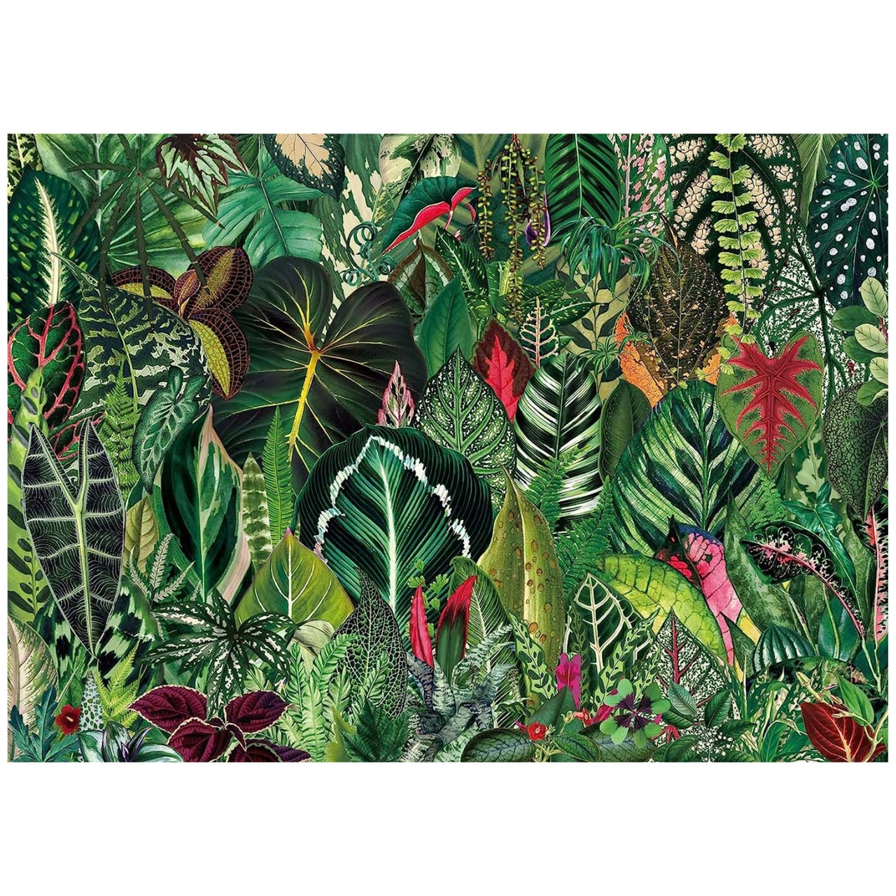 Houseplant 1000 Piece Jigsaw Puzzle for Adults - Completed