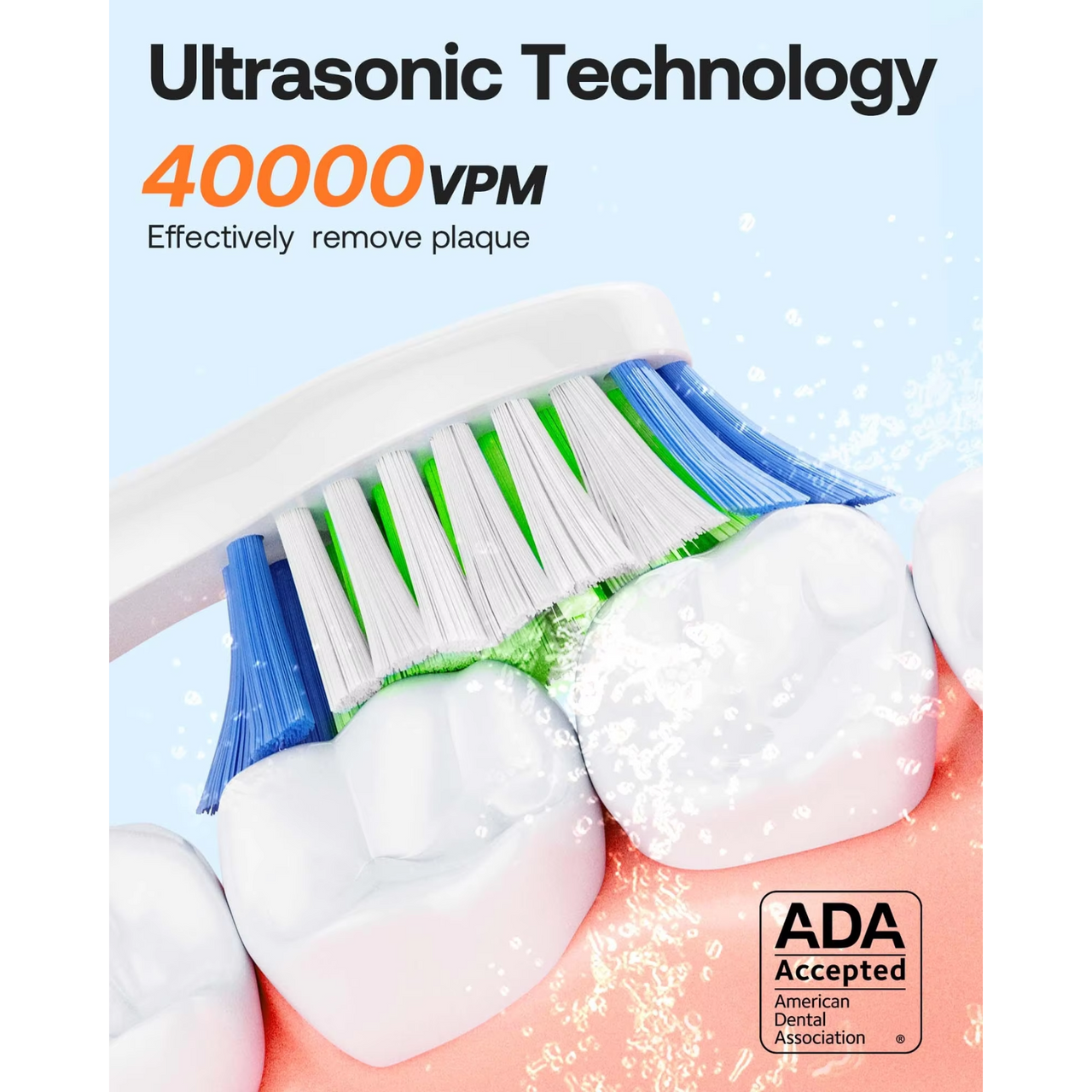 Bitvae Electric Toothbrush Ultrasonic Technology 40,000 Vibrations Per Minute, Effectively Remove Plaque