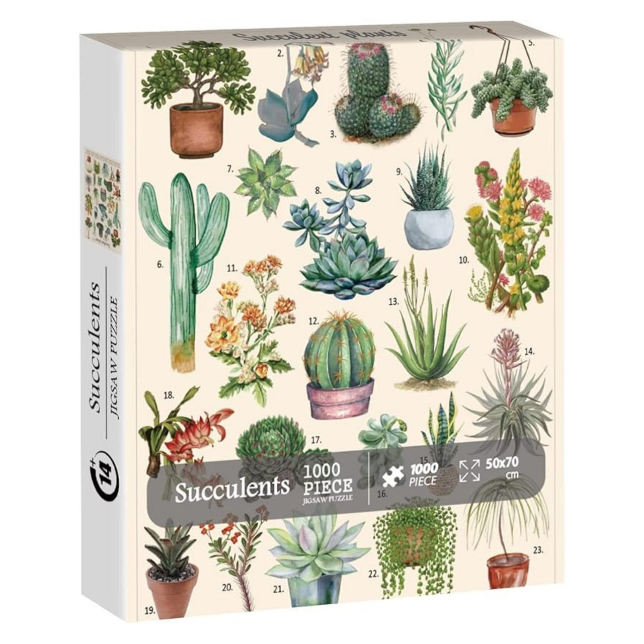 Succulents 1000 Piece Jigsaw Puzzle for Adults
