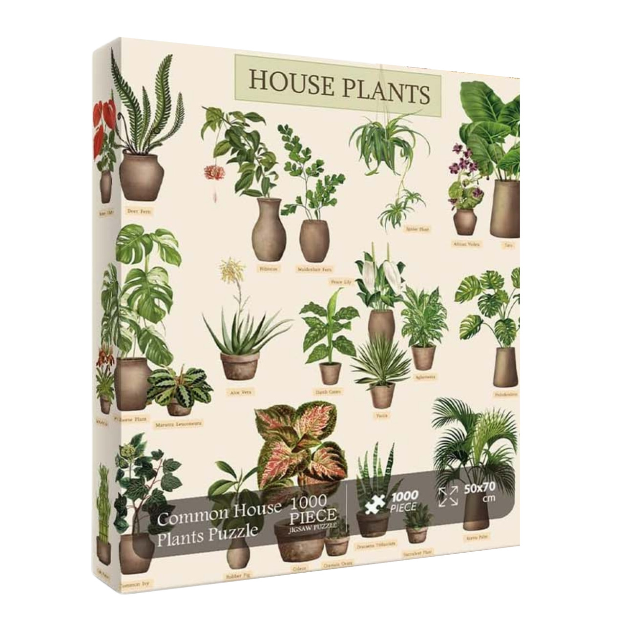Common House Plants 1000 Piece Jigsaw Puzzle for Adults