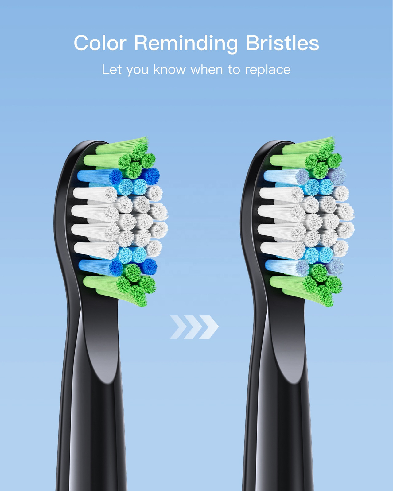 Bitvae Electric Toothbrush Replacement Heads for D2 Black