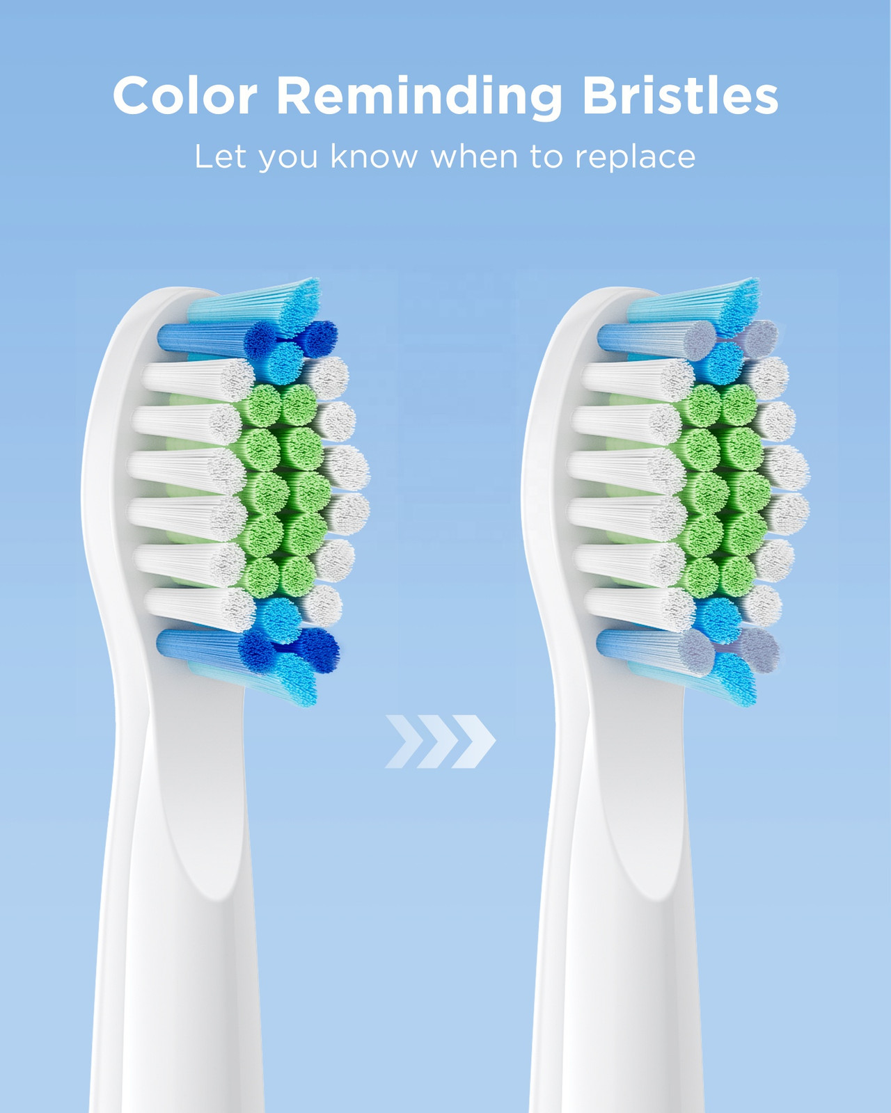 Bitvae Electric Toothbrush Replacement Heads for D2 White