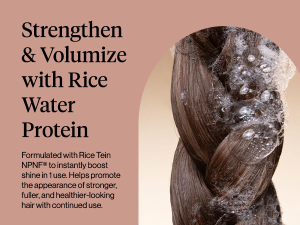 Kitsch Strengthening Rice Water Protein Shampoo for Men & Women &ndash; Hair Growth Shampoo & Volumizing Hair Care for Thin, Fine & Damaged Hair &ndash; Paraben, Phthalates & Silicone Free