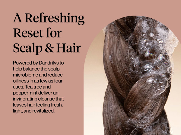 Kitsch Clarifying Tea Tree & Mint Liquid Shampoo for Men and Women – Clarifying Shampoo with Peppermint & Tea Tree Oil for Oily Hair & Scalp Buildup – Clean Color-Safe Hair Care, Made in USA