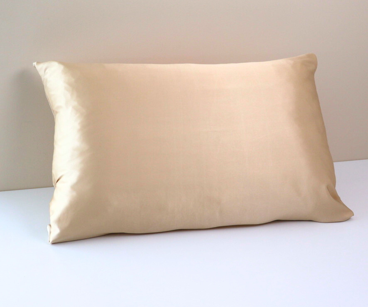 Champagne Silk Pillowcase 22 Momme 100% Mulberry Silk 70x50cm with Hidden Zipper
