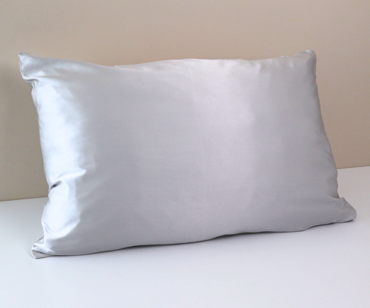 Silver Silk Pillowcase 22 Momme 100% Mulberry Silk Grade 6A 70x50cm Hidden Zipper