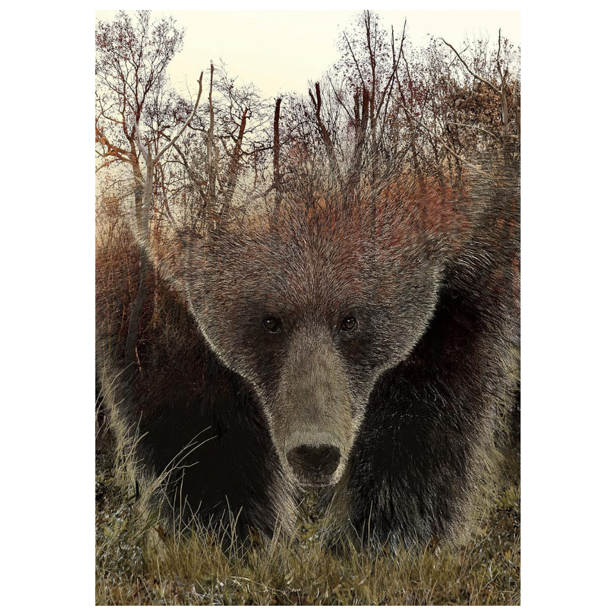 Forest Bear Jigsaw Puzzle 1000 Pieces