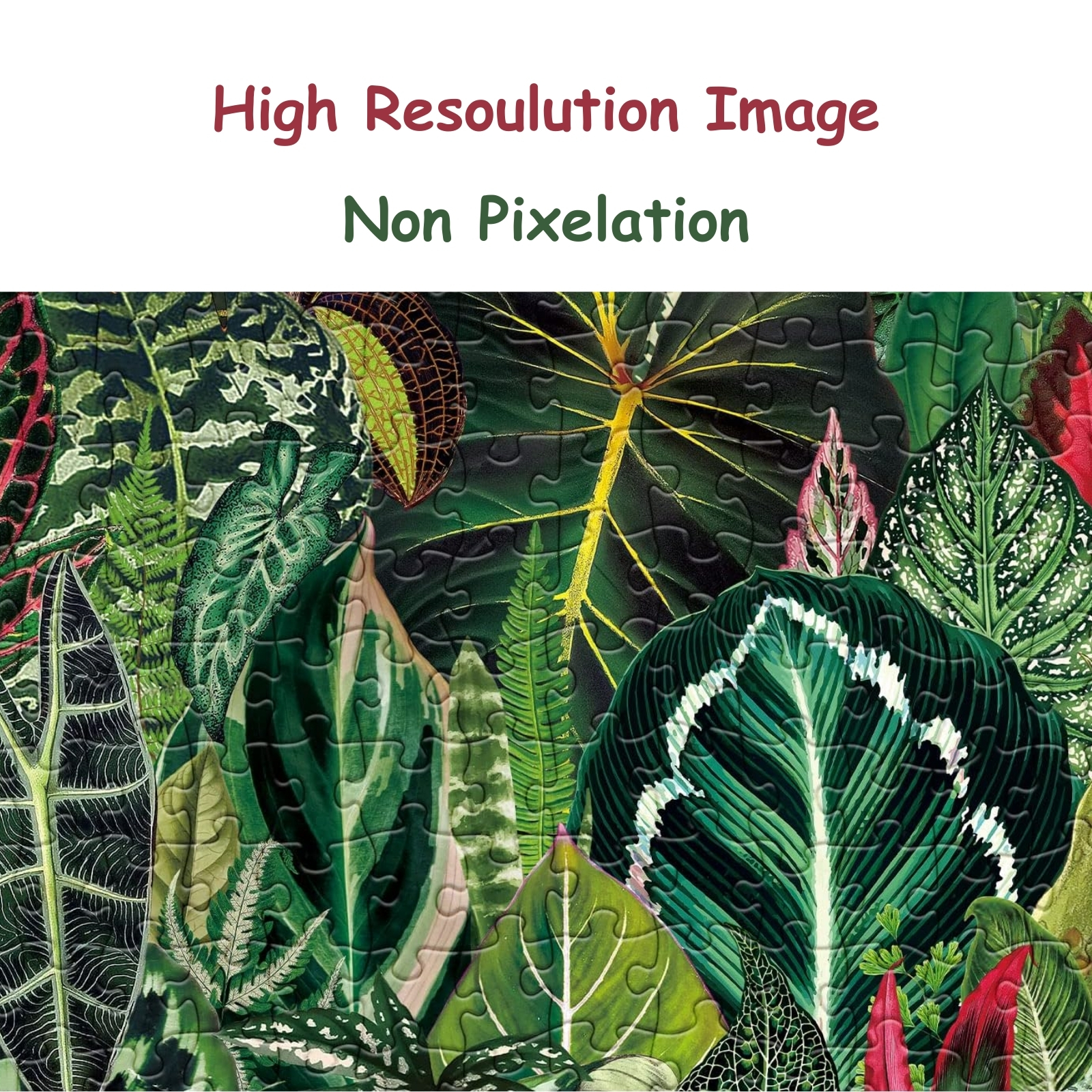 Houseplant 1000 piece jigsaw puzzle for adults - The adult puzzles are manufactured with environmental soy ink and sustainable extra-thick cardboard. Superior raw material combined with our superb craftsmanship make the colors of the jigsaw puzzles 1000 pieces for adults remain fresh after long time storage.