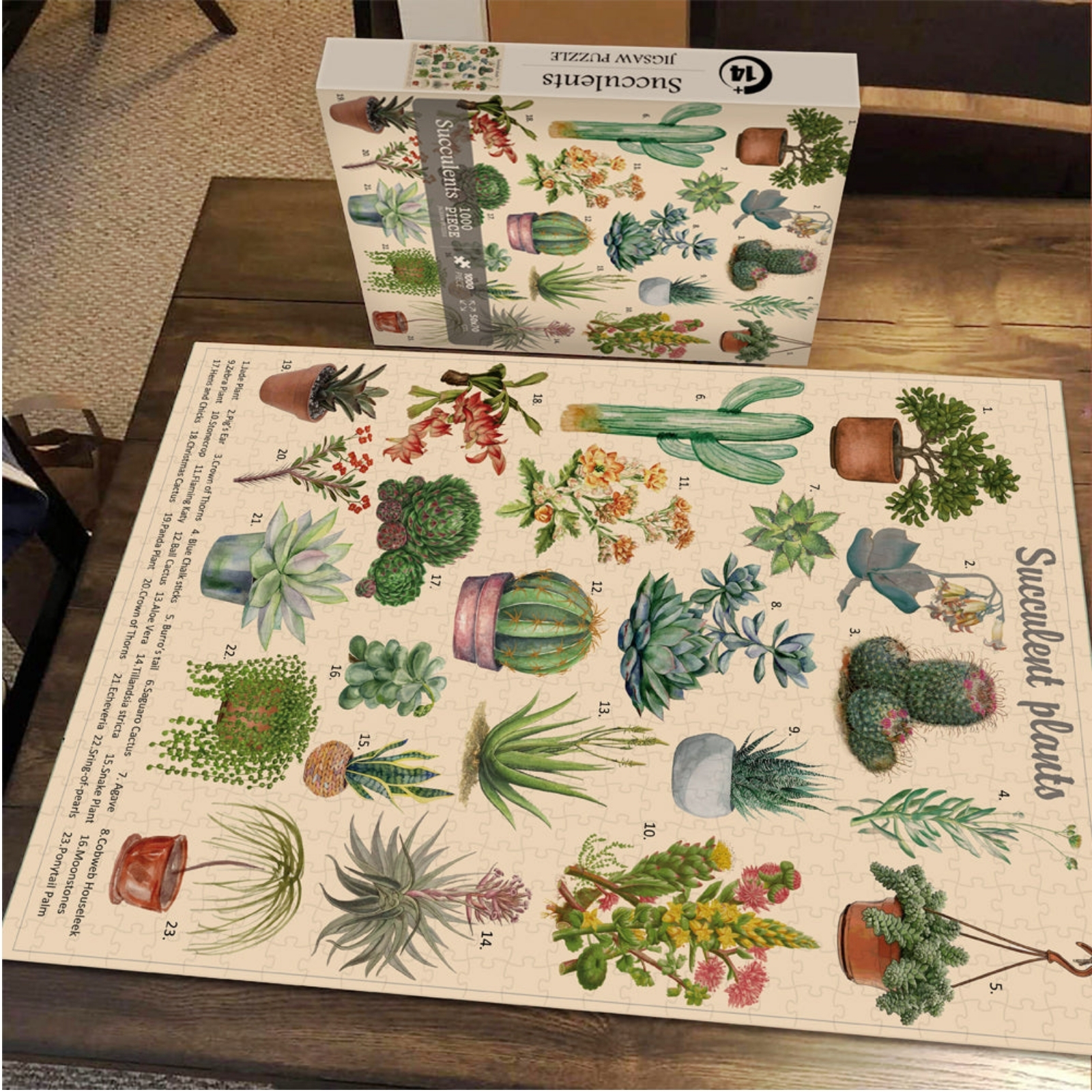 Succulents 1000 Piece Jigsaw Puzzle for Adults