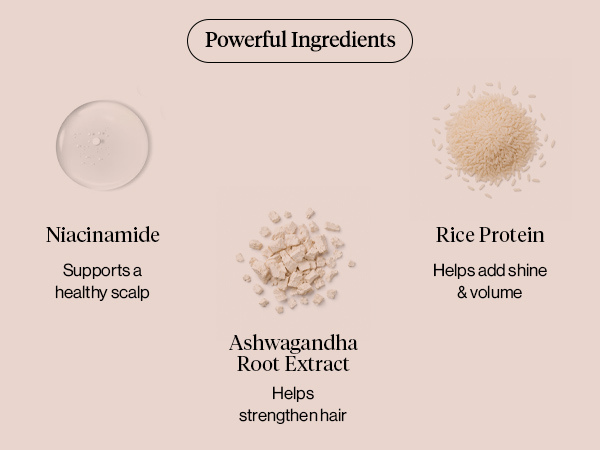 Kitsch Volumizing Rice Protein Dry Shampoo For Women Powder Puff - Dark, 8g | Absorbs Oil, Non-Greasy, Great For Dark Hair – Unscented – Travel Size Dry Hair Shampoo for Women & Men, No White Cast