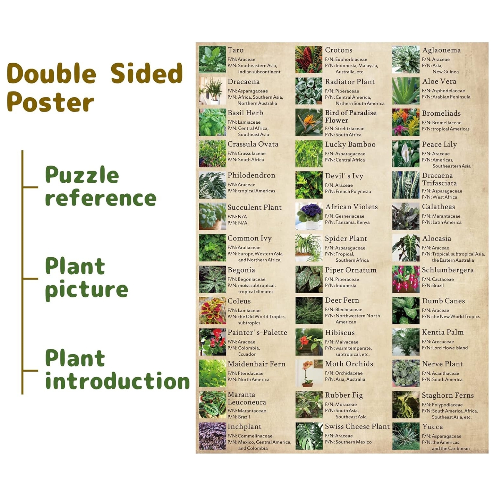 Common House Plants 1000 Piece Jigsaw Puzzle for Adults