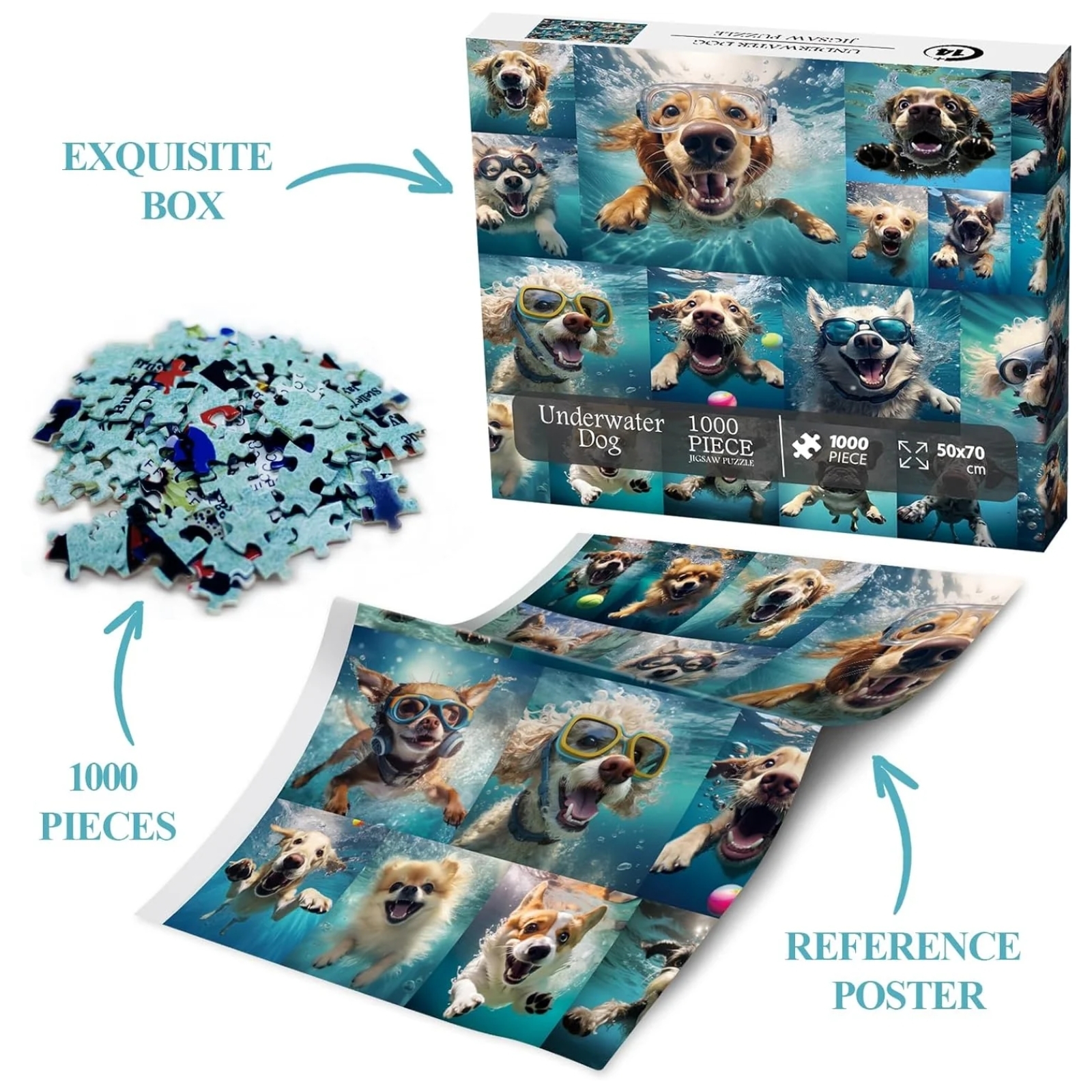 Underwater Dogs 1000 Piece Jigsaw Puzzle: What You Get - 1000 pieces puzzle, a reference poster, and exquisite box packaging. Finished size: 27.6 x 19.7 inches (70 x 50 cm), featuring lettered sections on the puzzle's back.