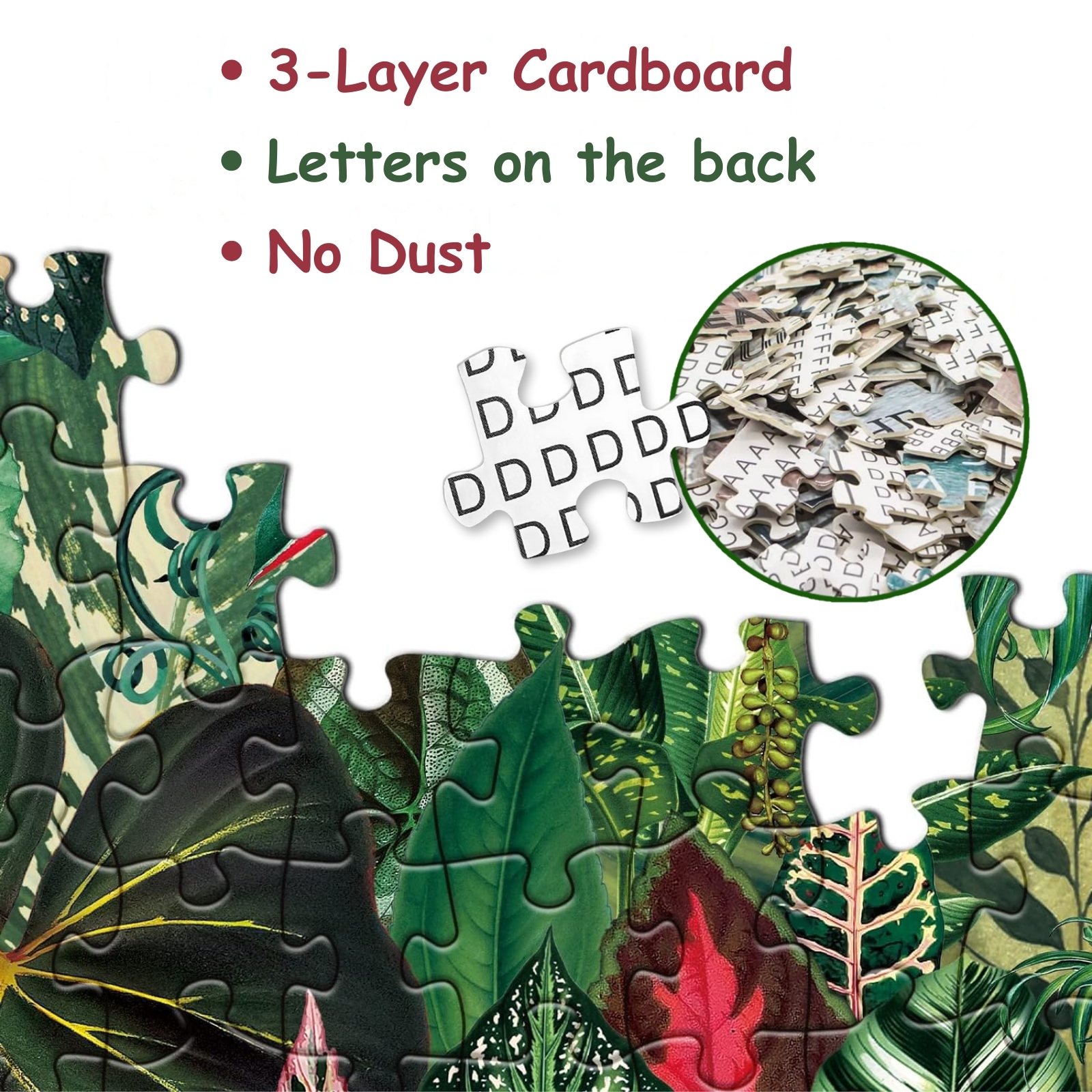 Houseplant 1000 piece jigsaw puzzle for adults - High quality with letters on the back of the puzzle for easy sorting