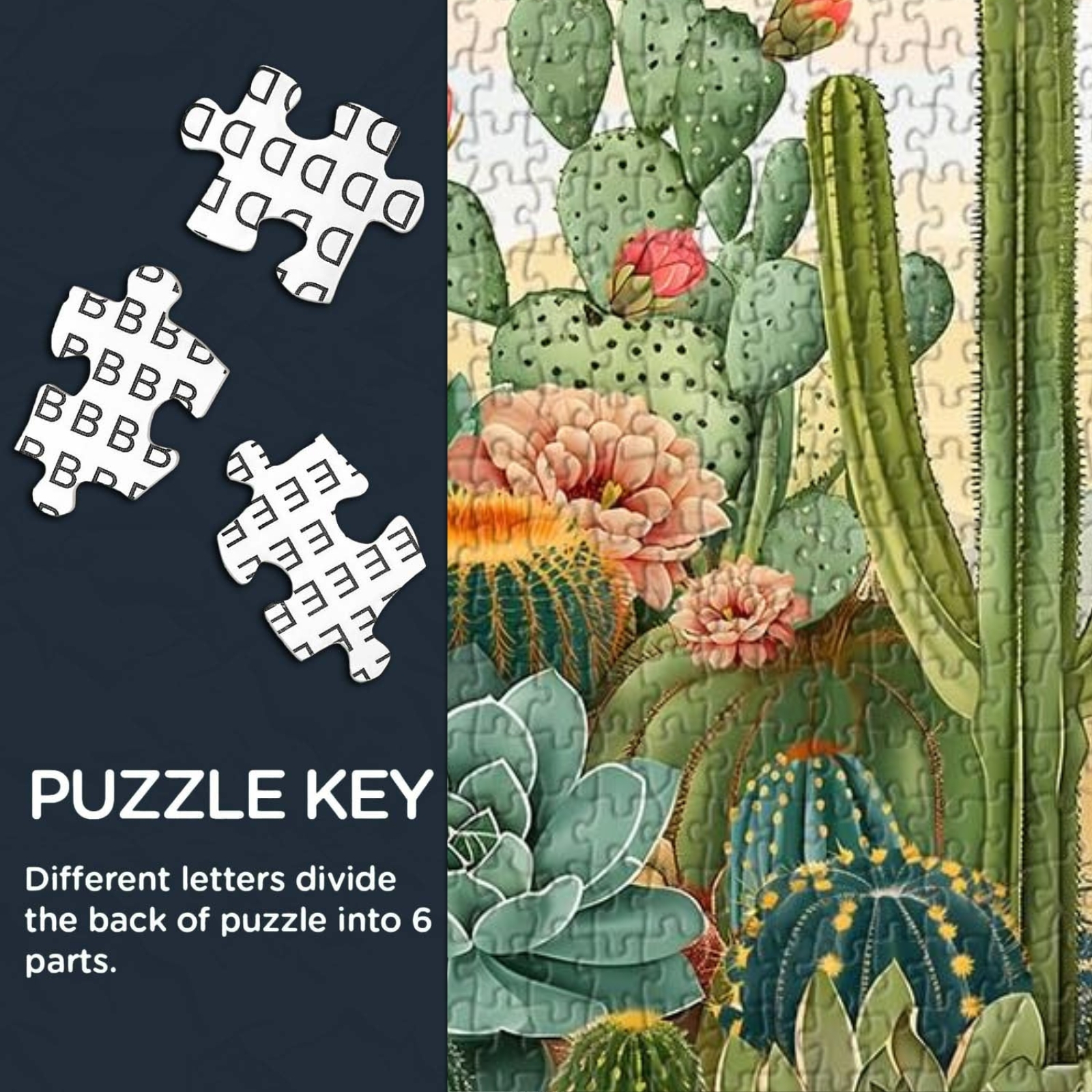 Vintage Cactus 1000 Piece Jigsaw Puzzle for Adults - Letters on the back of the puzzle