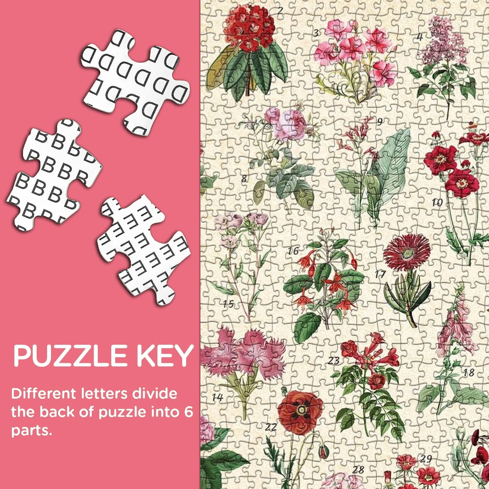 Crimson Fiesta 1000 Piece Jigsaw Puzzle for Adults