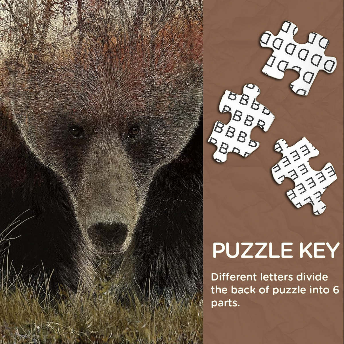 Forest Bear Jigsaw Puzzle 1000 Pieces