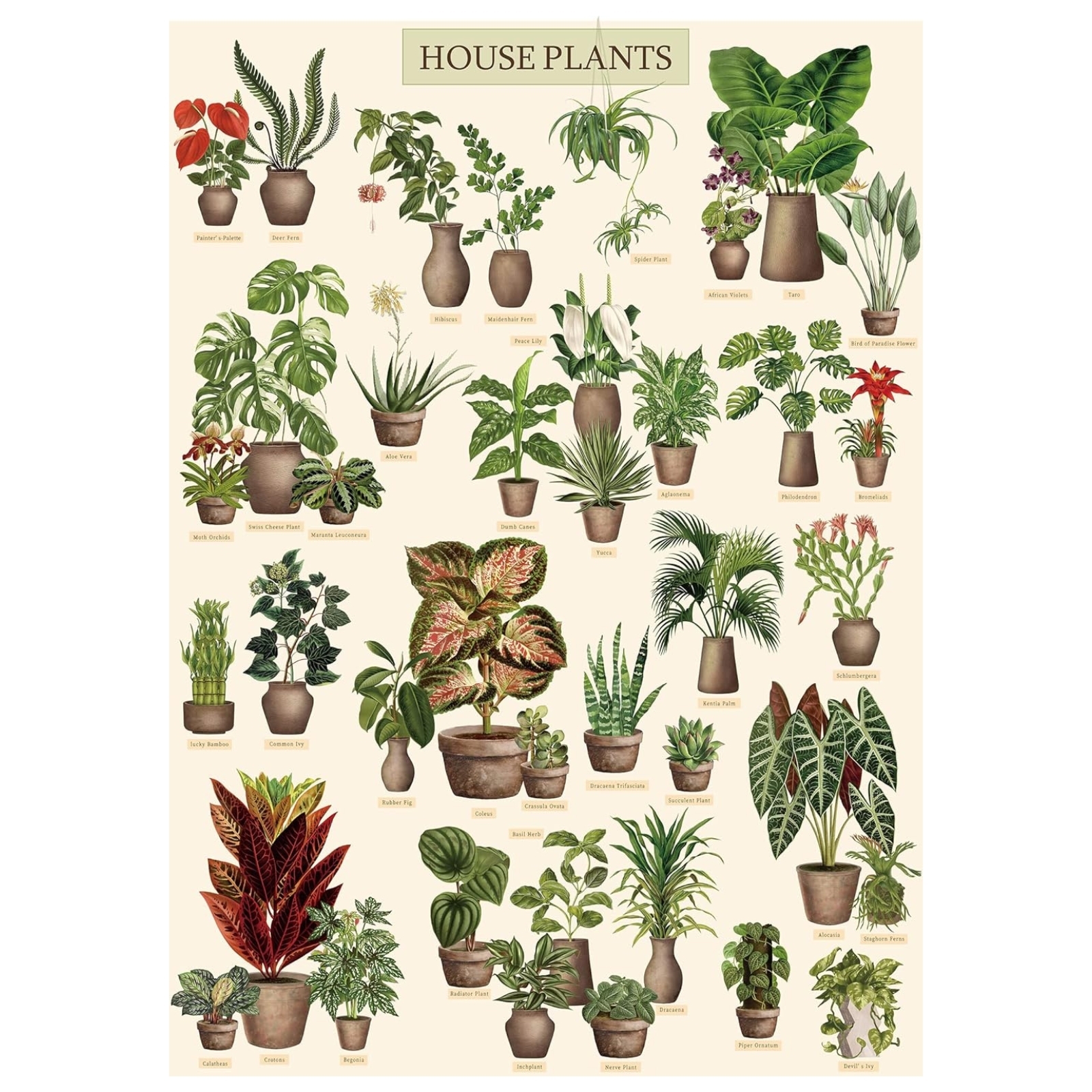 Common House Plants 1000 Piece Jigsaw Puzzle for Adults