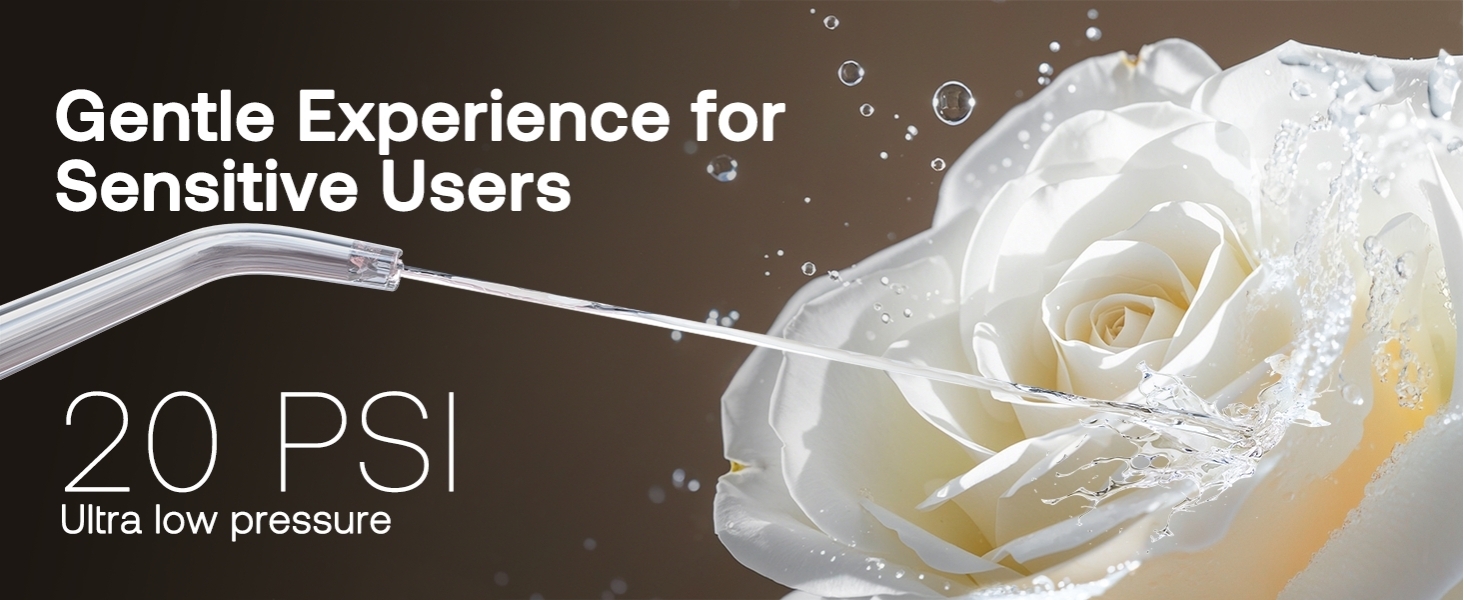 Water Flosser Bitvae C6 Gentle Experience For Sensitive Users
