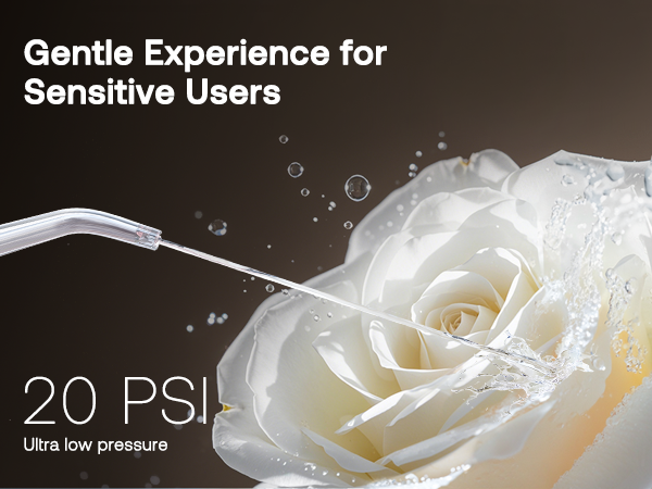 Water Flosser Bitvae C6 With Gentle Experience For Sensitive Users