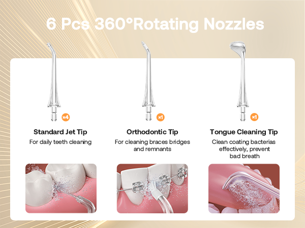 Water Flosser Bitvae C6 With 6 Pcs 360 Degree Rotating Nozzles