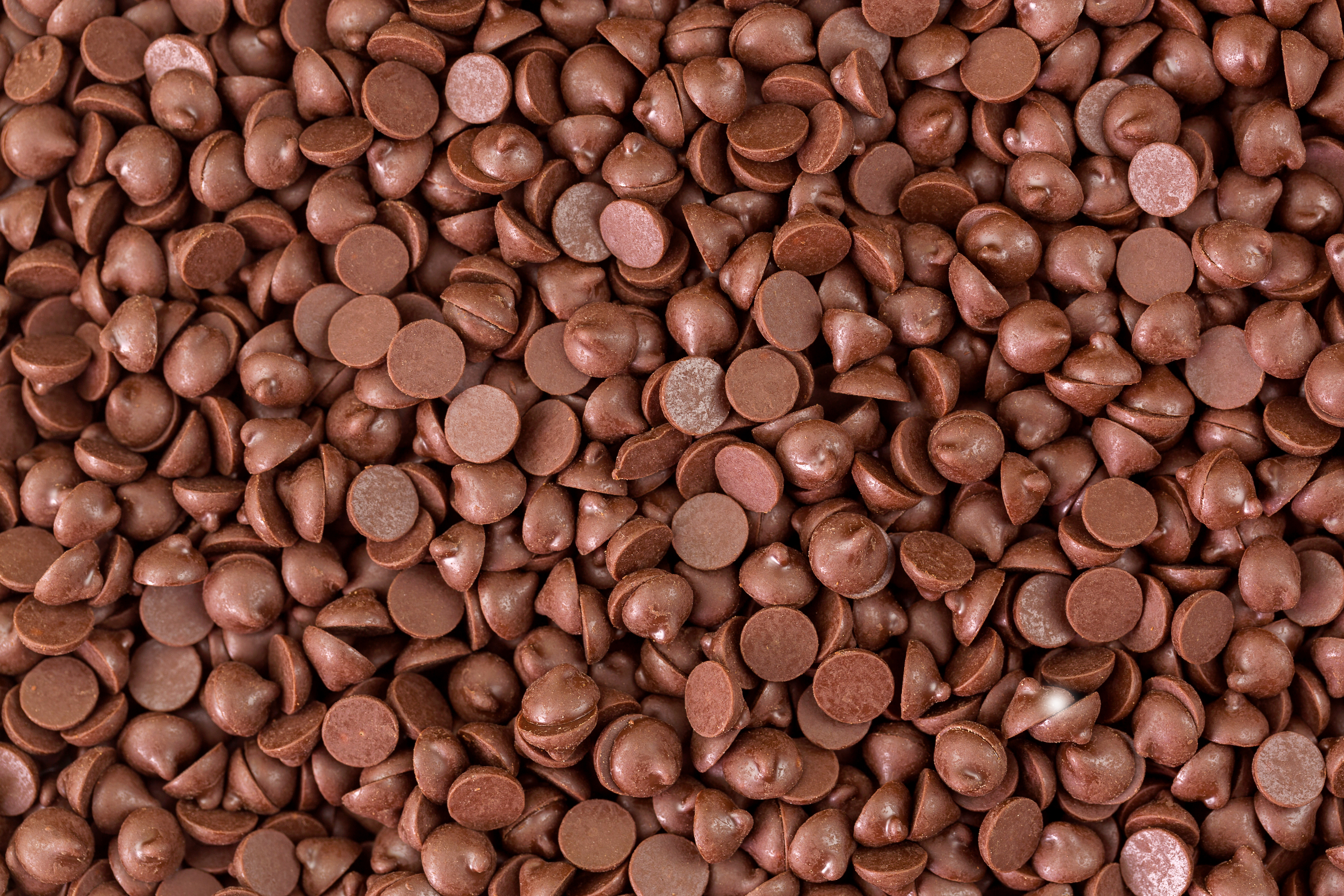 Bittersweet Chocolate Chips