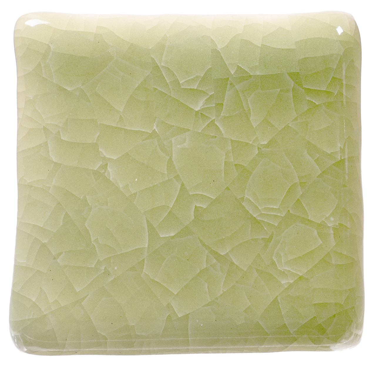 Frozen Fern KI-46 Kiln Ice Crackle Glaze