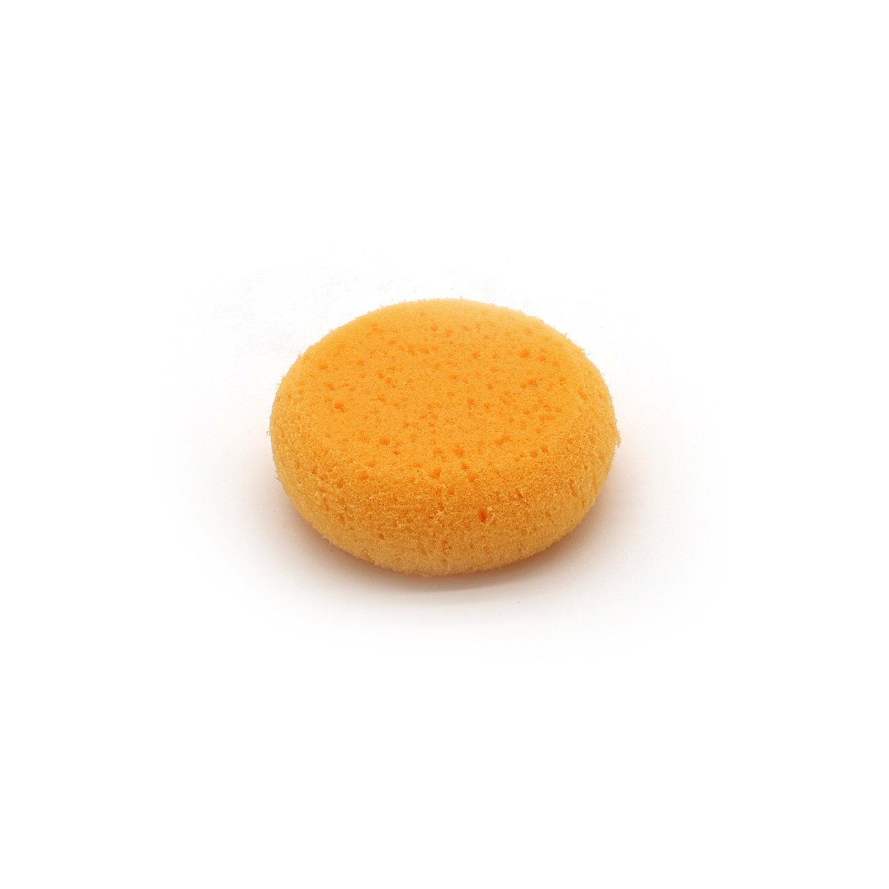 Synthetic Sponge – 2.5 in Round