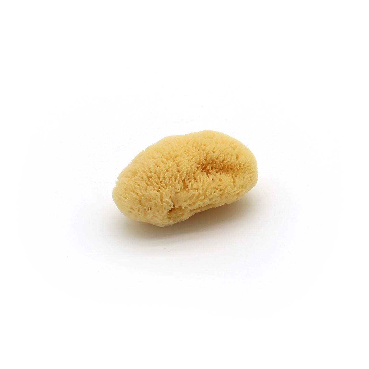 Silk Sponge – Large