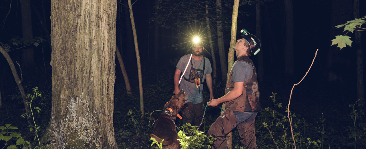 Big Dog Hunting Lights